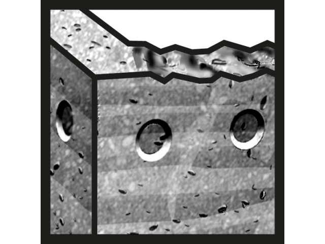 Udarni sveder Bosch SDS max-7, Dimenzije: 18x1200x1340mm, 2608586762